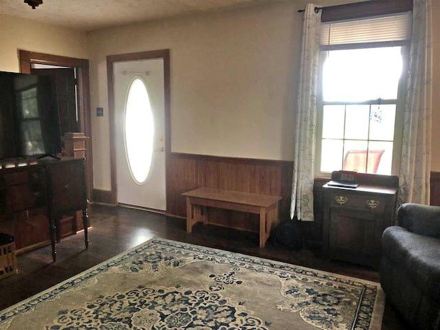 foyer entrance with plenty of natural light, a wainscoted wall, and wood finished floors