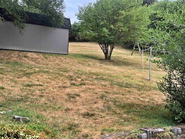 view of yard featuring a storage shed and an outbuilding