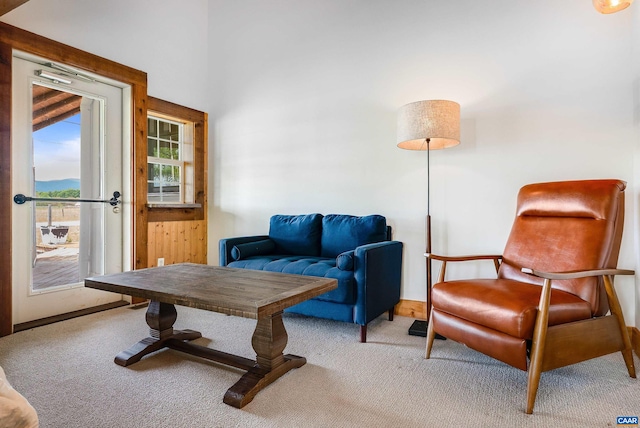 1900 Lowesville Rd, Amherst, VA 24521 - sitting room with carpet floors and baseboards