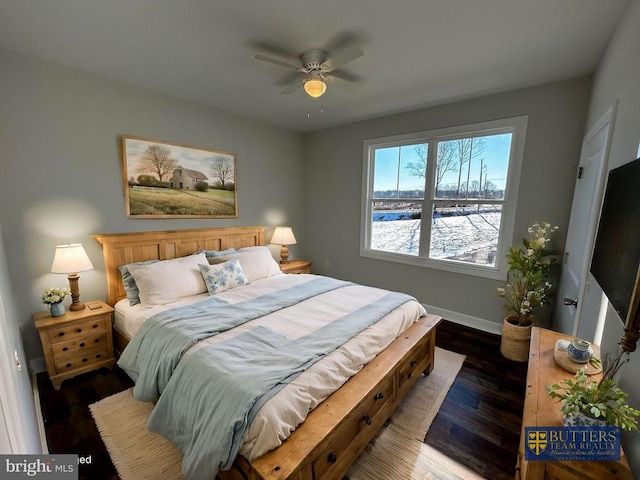 1078 Fishback Rd, Madison, VA 22727 - bedroom with baseboards, wood finished floors, and ceiling fan