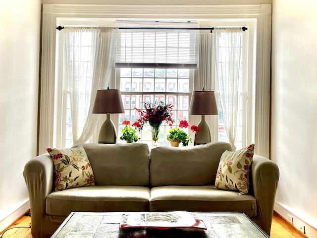 living room featuring baseboards, a healthy amount of sunlight, and wood finished floors