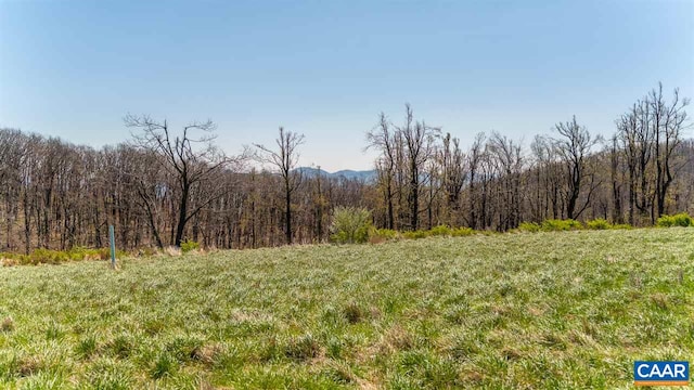 LOT16 Howardsville Tpke, Afton, VA 22920