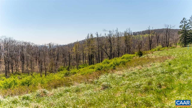 LOT16 Howardsville Tpke, Afton, VA 22920