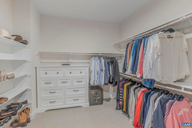 spacious closet with carpet