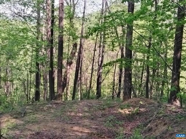 TBD Old Blue Ridge Tpke, Syria, VA 22743