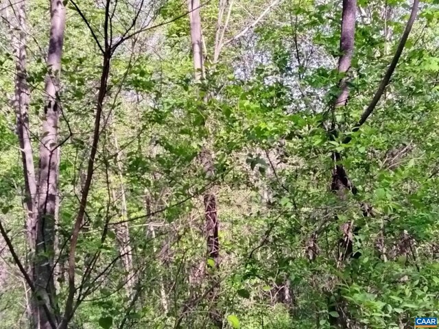 TBD Old Blue Ridge Tpke, Syria, VA 22743