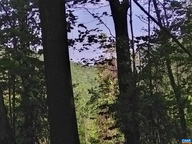 TBD Old Blue Ridge Tpke, Syria, VA 22743