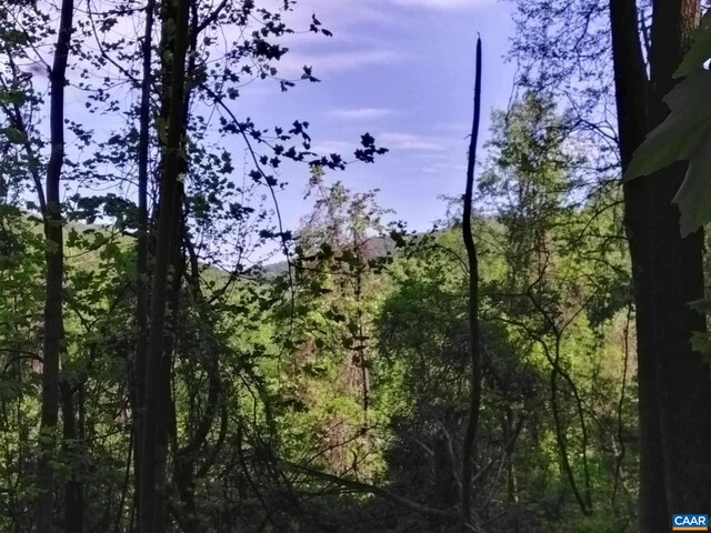 TBD Old Blue Ridge Tpke, Syria, VA 22743