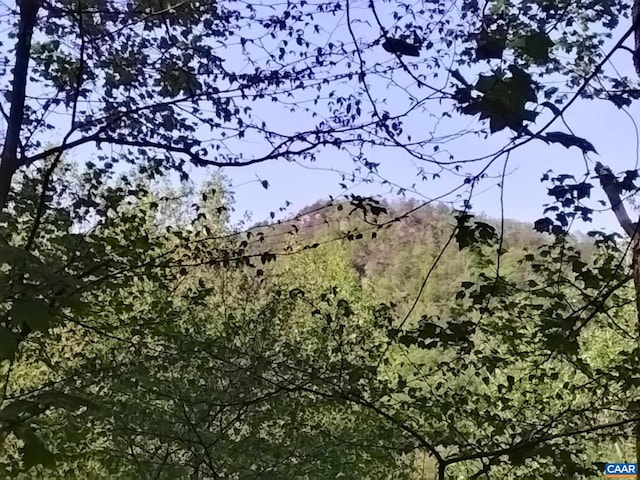 TBD Old Blue Ridge Tpke, Syria, VA 22743