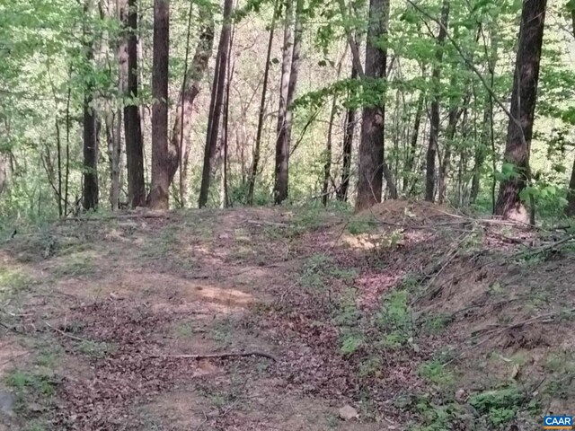 TBD Old Blue Ridge Tpke, Syria, VA 22743