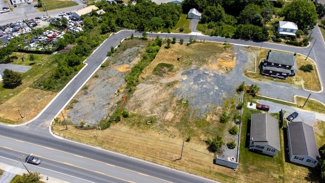 919 Collicello St, Harrisonburg, VA 22802 - photo 20