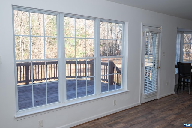 4259 Shelby Rd, Rochelle, VA 22738 - doorway with baseboards, a wealth of natural light, and dark wood-type flooring
