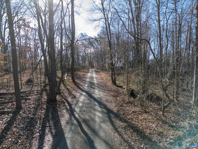 4259 Shelby Rd, Rochelle, VA 22738 - view of street with a view of trees