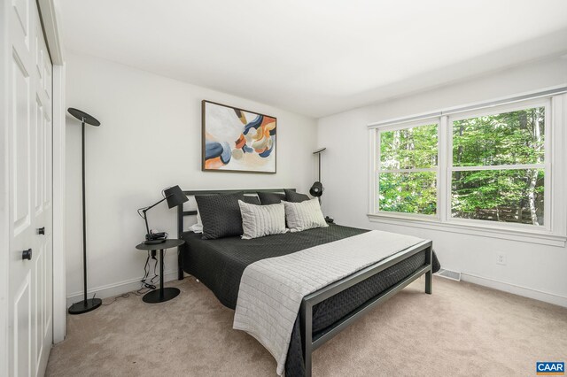 2987 Cove Trce, Charlottesville, VA 22911