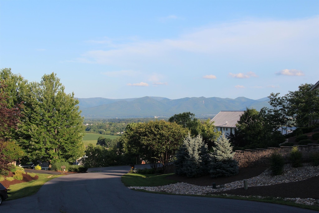 150 Pelham Pl, Harrisonburg, VA 22801