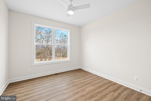 3769 Stony Point Rd, Charlottesville, VA 22911 - photo 35