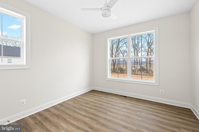 3769 Stony Point Rd, Charlottesville, VA 22911 - photo 36