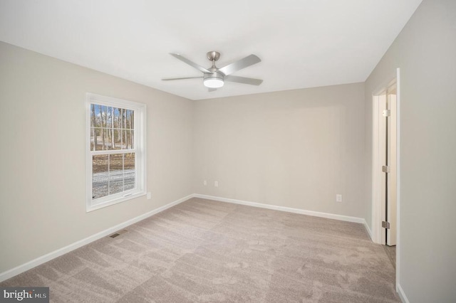 26471 Orange Springs Rd, Unionville, VA 22567 - photo 18