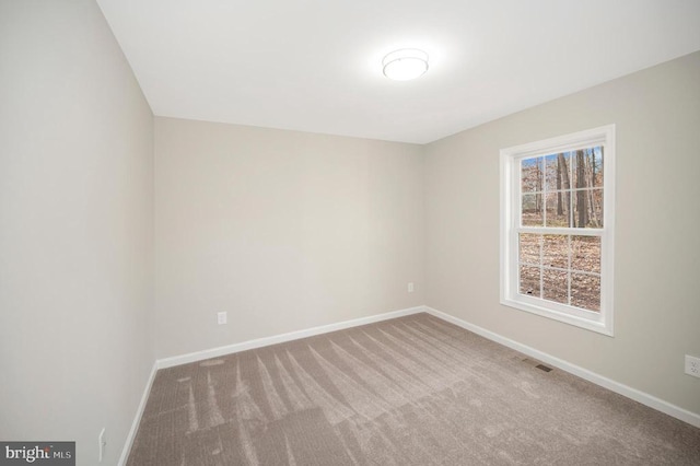 26471 Orange Springs Rd, Unionville, VA 22567 - photo 24