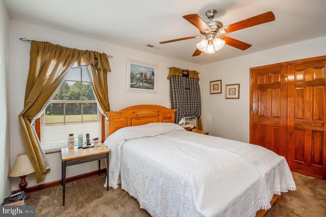 11425 Custers Trce, Spotsylvania, VA 22553 - bedroom with carpet floors and a ceiling fan