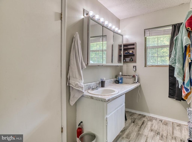 5575 Jeffersonton Rd, Jeffersonton, VA 22724 - bathroom with healthy amount of natural light, vanity, wood finished floors, and a textured ceiling