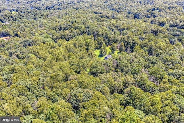5575 Jeffersonton Rd, Jeffersonton, VA 22724 - aerial view of a forest