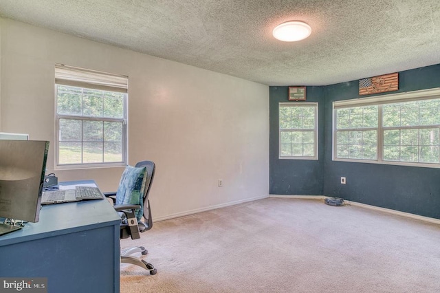 5575 Jeffersonton Rd, Jeffersonton, VA 22724 - carpeted home office with plenty of natural light and a textured ceiling