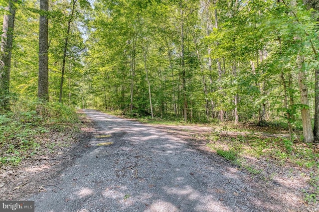 5575 Jeffersonton Rd, Jeffersonton, VA 22724 - view of road featuring a forest view