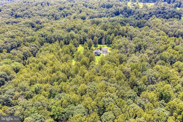 5575 Jeffersonton Rd, Jeffersonton, VA 22724 - drone / aerial view of a heavily wooded area