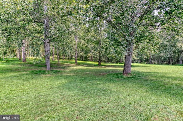 5575 Jeffersonton Rd, Jeffersonton, VA 22724 - view of grassy yard