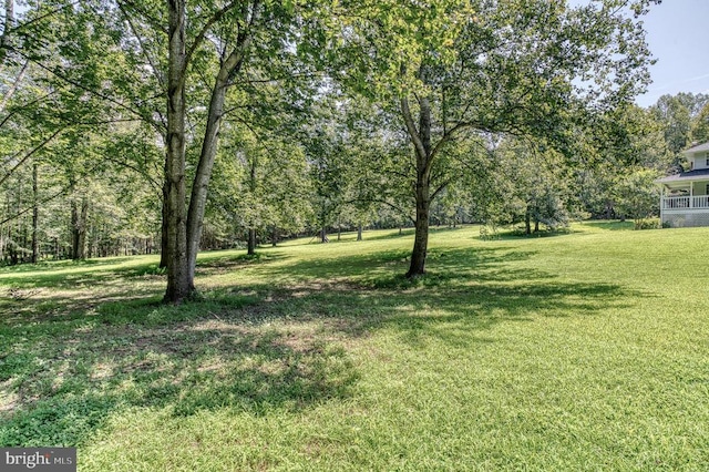 5575 Jeffersonton Rd, Jeffersonton, VA 22724 - view of green lawn