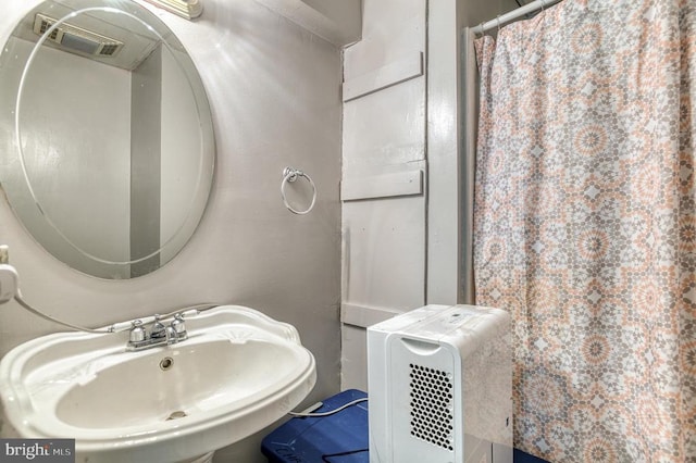 5575 Jeffersonton Rd, Jeffersonton, VA 22724 - bathroom with a sink and a shower with shower curtain