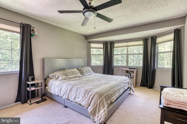 5575 Jeffersonton Rd, Jeffersonton, VA 22724 - bedroom with carpet floors, multiple windows, a textured ceiling, and a ceiling fan