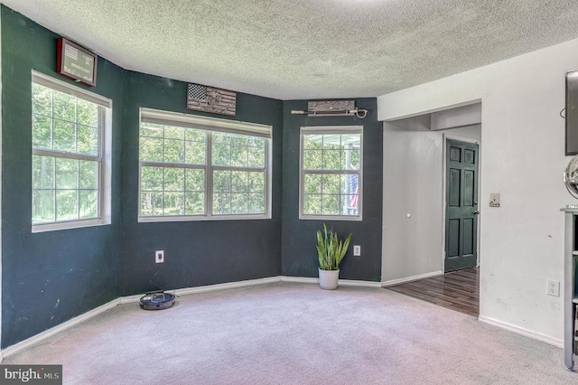 5575 Jeffersonton Rd, Jeffersonton, VA 22724 - carpeted empty room with a textured ceiling and baseboards