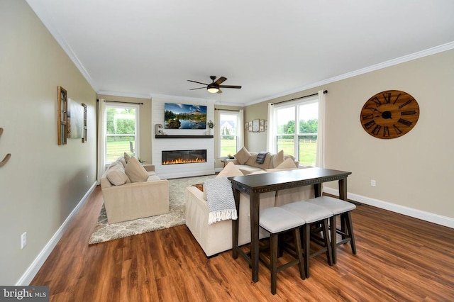  - living room featuring wood finished floors, ornamental molding, baseboards, a ceiling fan, and a large fireplace
