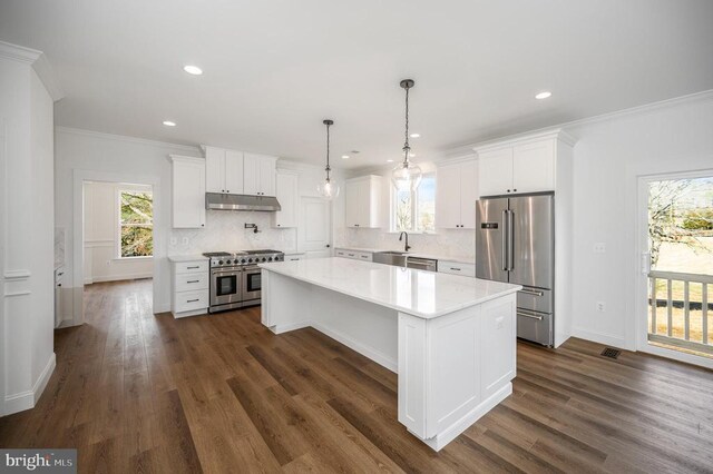  - kitchen featuring high end appliances, decorative backsplash, under cabinet range hood, light countertops, and white cabinets