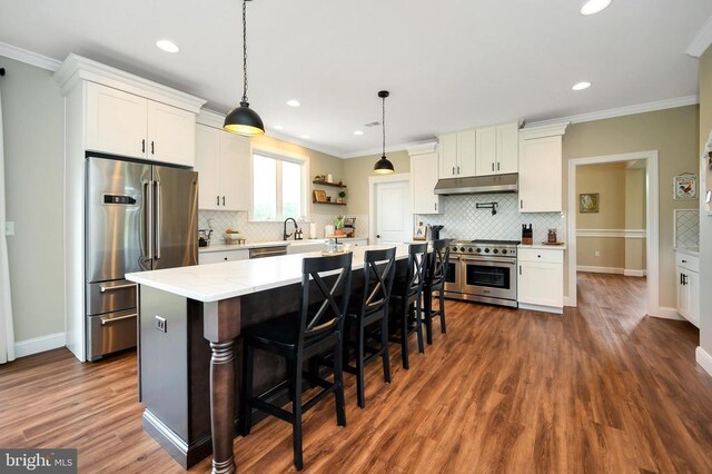  - kitchen with appliances with stainless steel finishes, under cabinet range hood, ornamental molding, backsplash, and recessed lighting