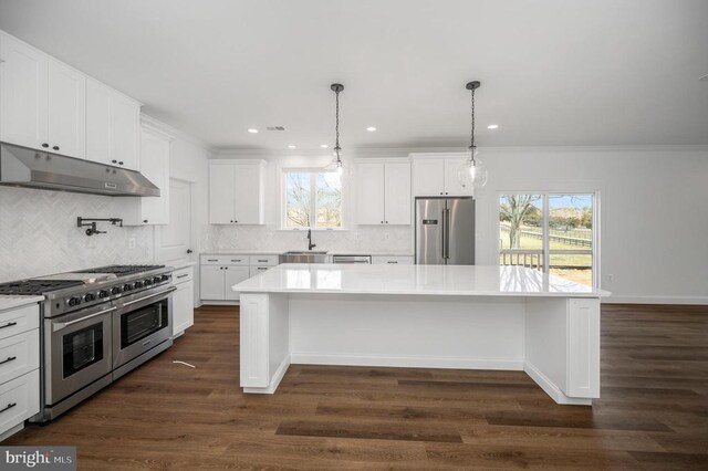  - kitchen featuring high quality appliances, under cabinet range hood, a sink, light countertops, and white cabinetry