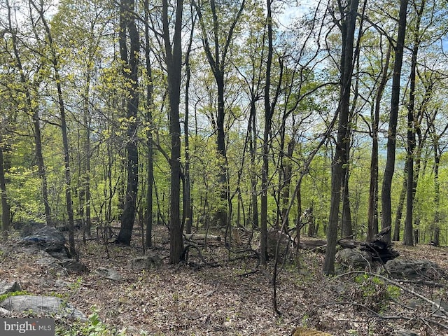0, Chester Gap, VA