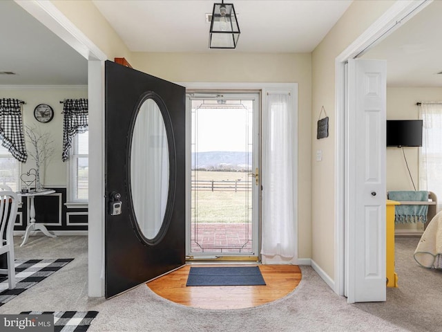 237 Preston Ln, Luray, VA 22835 - entrance foyer featuring carpet floors, plenty of natural light, baseboards, and ornamental molding