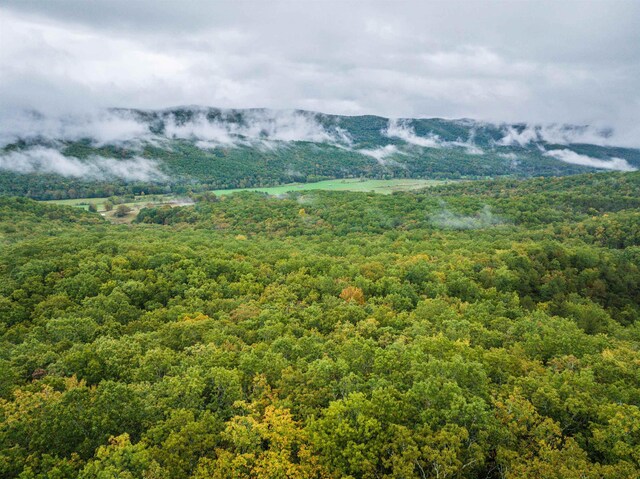 TBD Whippoorwill Ln, Monterey, VA 24465 - photo 21