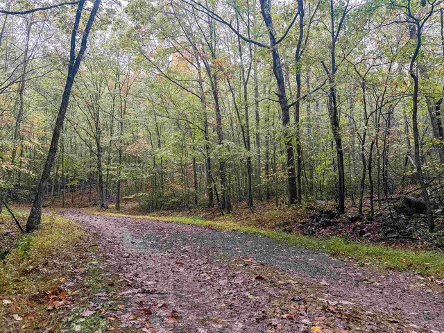 TBD Whippoorwill Ln, Monterey, VA 24465 - photo 33