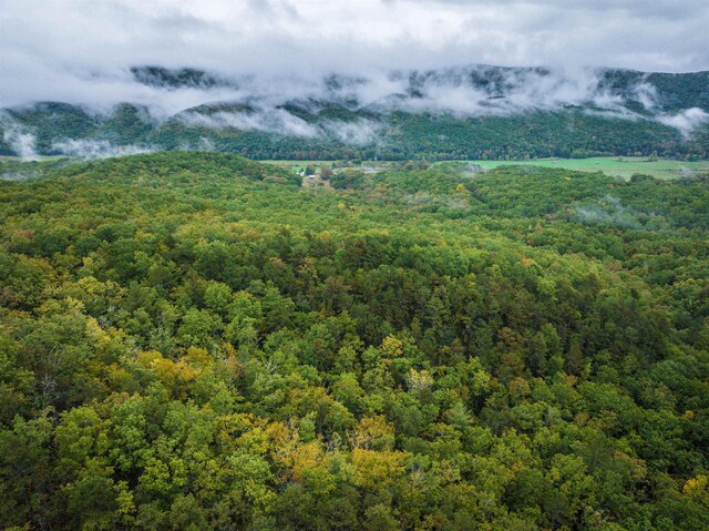 TBD Whippoorwill Ln, Monterey, VA 24465 - photo 25