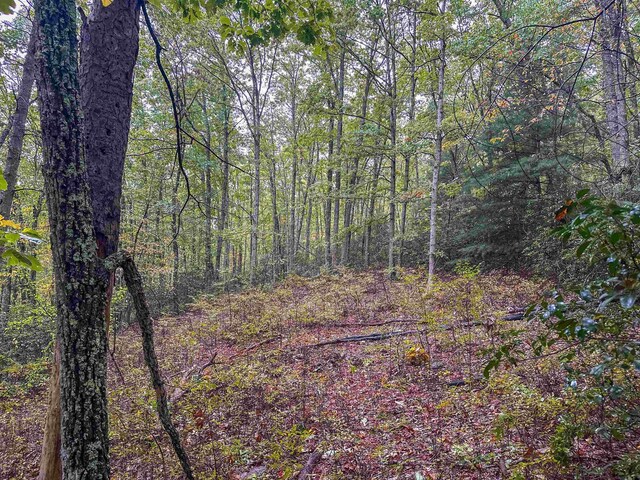 TBD Whippoorwill Ln, Monterey, VA 24465 - photo 30