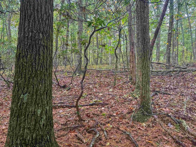 TBD Whippoorwill Ln, Monterey, VA 24465 - photo 32