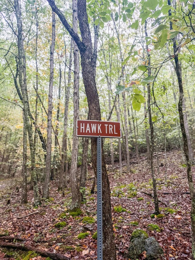 TBD Whippoorwill Ln, Monterey, VA 24465 - photo 34