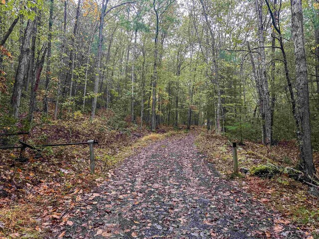 TBD Whippoorwill Ln, Monterey, VA 24465 - photo 36