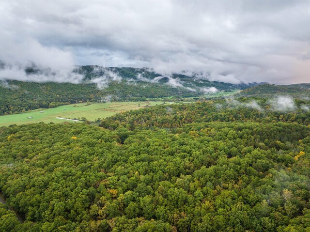 TBD Whippoorwill Ln, Monterey, VA 24465 - photo 4