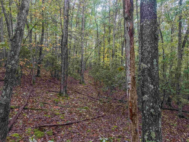 TBD Whippoorwill Ln, Monterey, VA 24465 - photo 28
