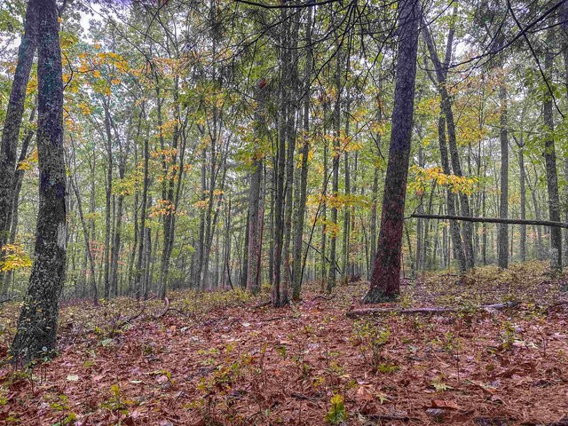 TBD Whippoorwill Ln, Monterey, VA 24465 - photo 31